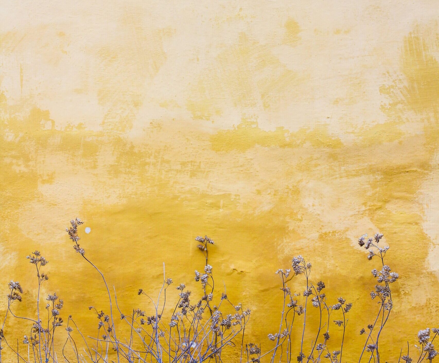 8. klasside kirjandustundi külastas endine vilistlane ja õpetaja Tähte Paalaroos